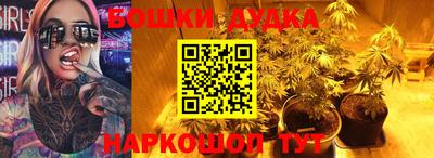 стаф Ставрополь